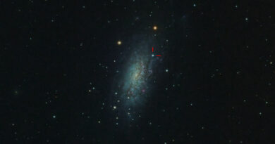Supernova 2024ggi a NGC3621