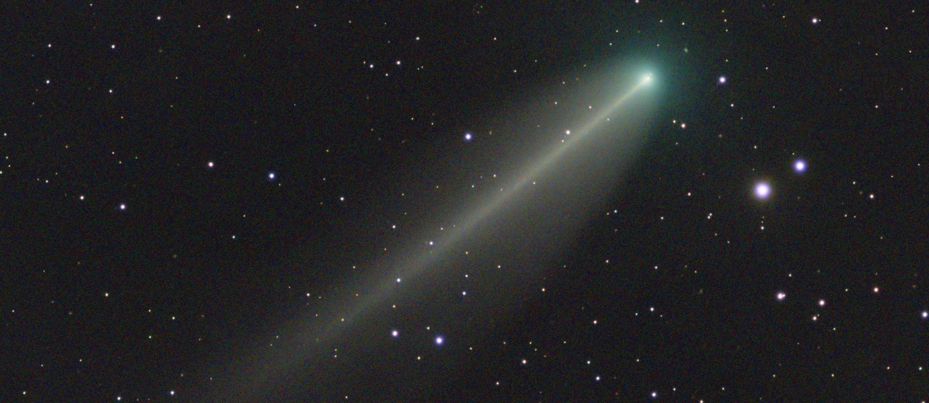 220P/McNaught : el cometa discret.